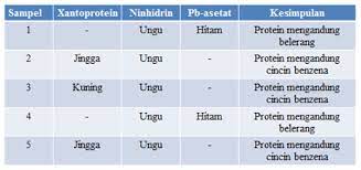 Telur adalah makanan mengandung protein yang telah diketahui oleh banyak orang. Makanan Protein Yg Mengandung Cincin Benzena Adalah Protein Tersebut Adalah Keratin Yang Terdapat Pada Tanduk Banteng Dan Cula Badak