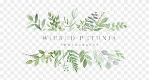 Watercolor clipart is for personal use: 3889 Main Logo 5c54d7a0c3b495 Greenery Png Transparent Png 1200x1200 5501719 Pngfind