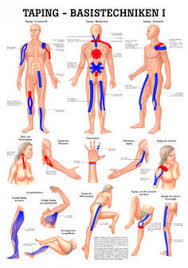 Anatomie Lehrtafeln Der Menschliche Korper Jede Anatomielehrtafel Zeigt Ei In 2020 Kinesiologie Tapen Anatomie Pilates