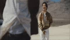 Best Mr Chow Gifs Gfycat