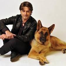 Resultat d'imatges de perro rex