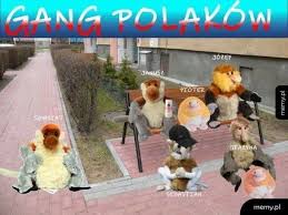 Praktycznie co kolejkę, a nierzadko co mecz, na całym świecie zdarzają się rzeczy memy sportowe są obecnie jednym z najpopularniejszych sposobów na komentowanie tego, co się. Memy Artykuly Gazeta Wroclawska