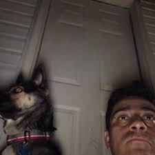 Stream Max Molina music