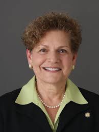 Rockland primaries: Ellen Jaffee wins, Nyack Trustee Don Hammond loses