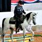 U.S. National Arabian & Half Arabian Championship Horse Show