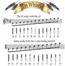 Traditional Tunes For Tin Whistle Tin Whistle Whistle Irish Flute