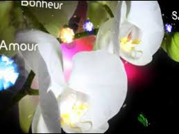 Dromadaire Com 5000 Cartes De Voeux Virtuelles Sur Tous Les Themes Anniversaire Amour Humour Amour Travail Mariages Carte De Voeux Evenements Youtube