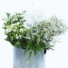 White Textured Filler Flower Pack Fiftyflowers Com White Wedding Flowers White Texture Bouvardia Flowers