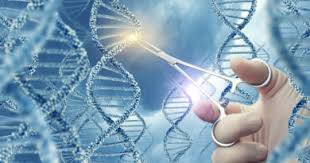 Sindromul de impingement al umărului. Boli Imune È™i Degenerative MereusÄƒnÄƒtoÈ™i