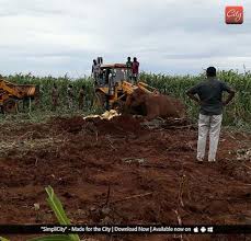 Contact indian micron covering on messenger. Sick Female Elephant Rescued Villagers Appreciate Efforts Of Forest Officials Simplicity