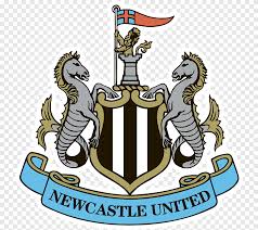 Download free brighton & hove albion f.c. Newcastle United F C Premier League Arsenal F C Brighton Hove Albion F C Football Premier League Logo Sports Png Pngegg