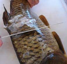 How To Clean And Prepare Fresh Carp