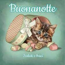 Buonanotte Illustrazioni Di Gatto Animali Carini Disegni Di Gatti