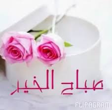أحلى صباح غردت فيه الطيور صباح معطر بأجود أنواع الطيب والبخور صباح الورد Good Morning Images Download Good Morning Images Morning Images