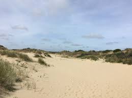 Die wichtigsten infos und tipps für die reise nach belgien: Von De Panne Nach Knokke Zu Fuss Entlang Der Belgischen Kuste Waffelreisen