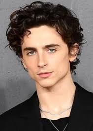 Fan Casting Timothée Chalamet as Dawson Black in Lux Series