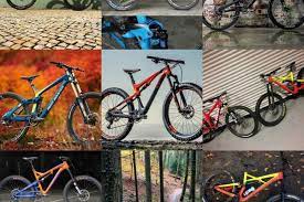 Learn about the four most common warning signs. Mtb Quiz Of The Year Mbr