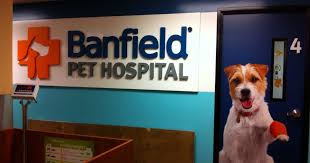 Banfield Pet Hospital Free Office Visit Consultation Free Product Samples