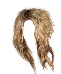 Http Ucesy Sk Happyhair Sk Hair Images B E1o2609 Png Hair Sketch Hair Images Hair Png