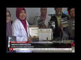 Madu adalah sesuatu yang tidak asing lagi samada di malaysia atau di pasaran antarabangsa. N7 Propolis Lebah Kelulut Bermanfaat Dalam Industri Kosmetik 12 Mac 2019 Youtube
