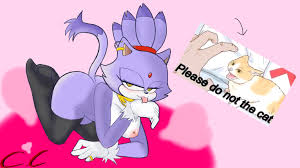 Please do not the cat