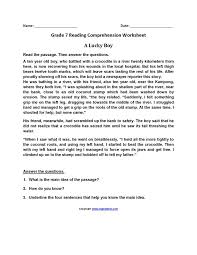 Please use any of the printable worksheets (you may duplicate them) in your classroom or at home. A Lucky Boy Seventh Grade Reading Worksheets Reading Comprehension Worksheets Comprehension Worksheets Teaching Reading Comprehension