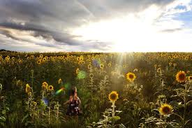 37 Photographs that capture the beauty of the great outdoors