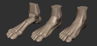 Foot Reference 3d Print Model Print Models Model Feet