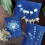 Intro to Cyanotype: Blueprints of the Sun