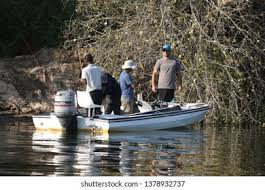 Image result for Habenaria debeerstiana