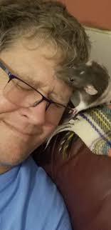 Stella has no problem with being groomed but Alfie is a real problem child;  he does not like to be stripped.