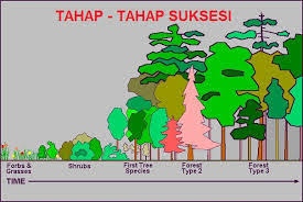 Pengertian Suksesi