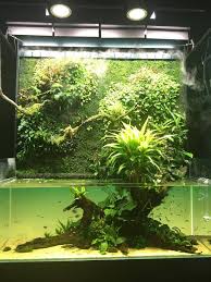 Tokyo Japan Amazing Aquariums Nature Aquarium Aquascape
