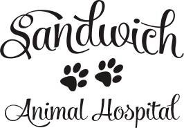 Webwiki > allpetsmedicalcenter.com add your website for free. New Client Special Offer Sandwich Animal Hospital Inc