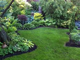 47 Modern Shade Front Yard Design Ideas For Summer Cluedecor Backyard Landscaping Designs Shade Plants Yard Design