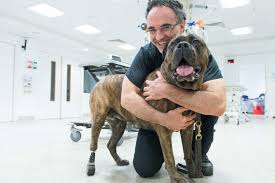 The show follows professor noel fitzpatrick and the team at fitzpatrick referrals sharing with the the supervet continues to show how by giving back to our animal friends, we are making the world a. Supervet Professor Noel Fitzpatrick To Speak At Joint Pht Uop Health And Technology Conference Research And Innovation Services