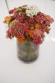 Weird Achillea In A Vase Flower Arrangements Pretty Flowers Beautiful Flowers