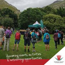 Image result for Holothrix micrantha