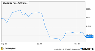 Why Elastic N V Stock Fell 12 5 In October The Motley Fool