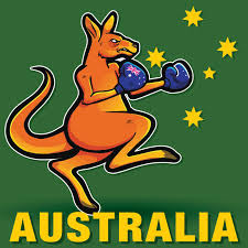 Boxing Kangaroo Australia Southern Cross Stars Sticker Decal Vehicle Ebay Kangaroo Art Kangaroo Drawing Australia Kangaroo