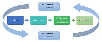 Image result for Computers Software Project Management Risk Analysis