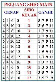 Gambar code syair shamyoun lengkap. Cara Rumus Shio Togel 2020