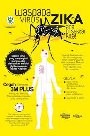Virus zika termasuk ke dalam kelompok flavivirus, yaitu keluarga virus yang sama dengan virus penyebab demam berdarah dan chikungunya. Promkes