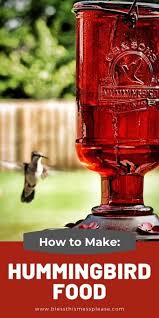 It's not good for the birds to drink this. The Best Homemade Hummingbird Food Recipe Bless This Mess