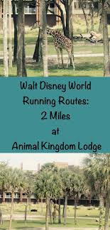 Pin On Disney