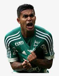 Check spelling or type a new query. Dudu Render Dudu Palmeiras Png 799x1000 Png Download Pngkit