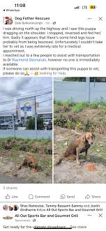 Do we have anyone that can carry this dog to Dr Deonanan arrangements have  been made just need to be picked up