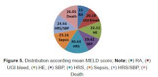 Image result for MELD Score