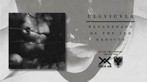 Tearing up the sidewalks pouring wet cement erasing your initials alphabet wrecked i watched you pour white gasoline . Interviews Black Metal Daily