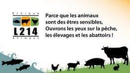 L214 Ethique Animaux Association Animaux Tarte Aux Poireaux Animaux